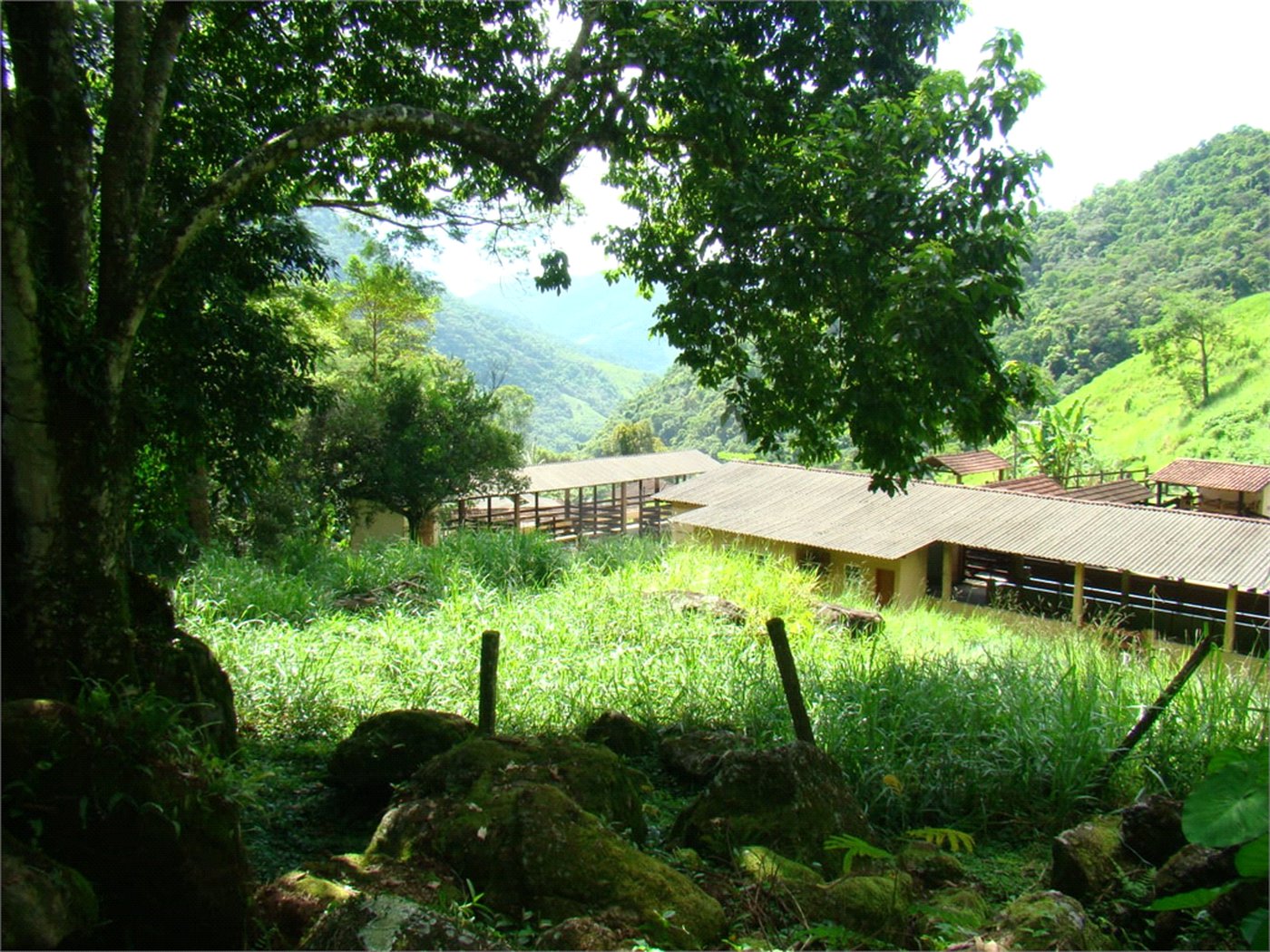 Fazenda à venda com 7 quartos, sendo 3 suítes, em Professor Souza, Casimiro de Abreu, RJ