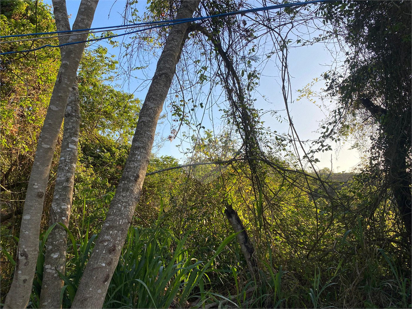 Terreno à venda em Albatroz, Armação dos Búzios, RJ