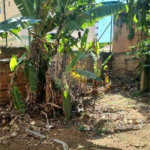 Terreno à venda em Vila Mazzei, São Paulo, SP