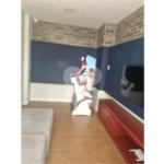 Apartamento à venda com 2 quartos em Vila Maria Baixa, São Paulo, SP