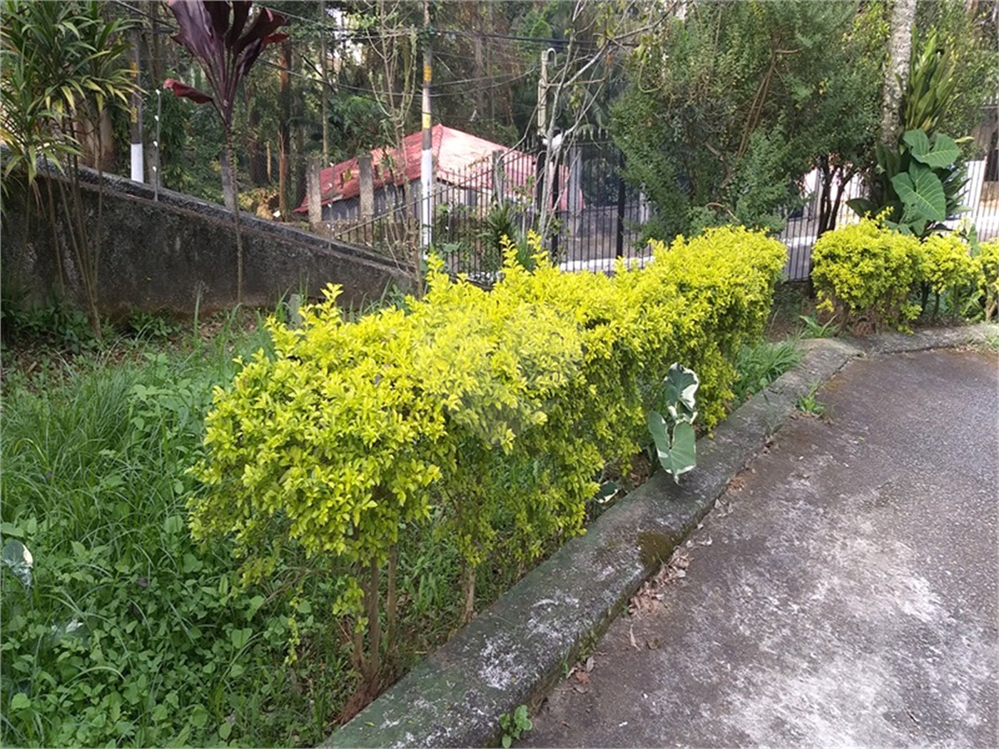 Casa Térrea à venda com 4 suítes em Tucuruvi, São Paulo, SP