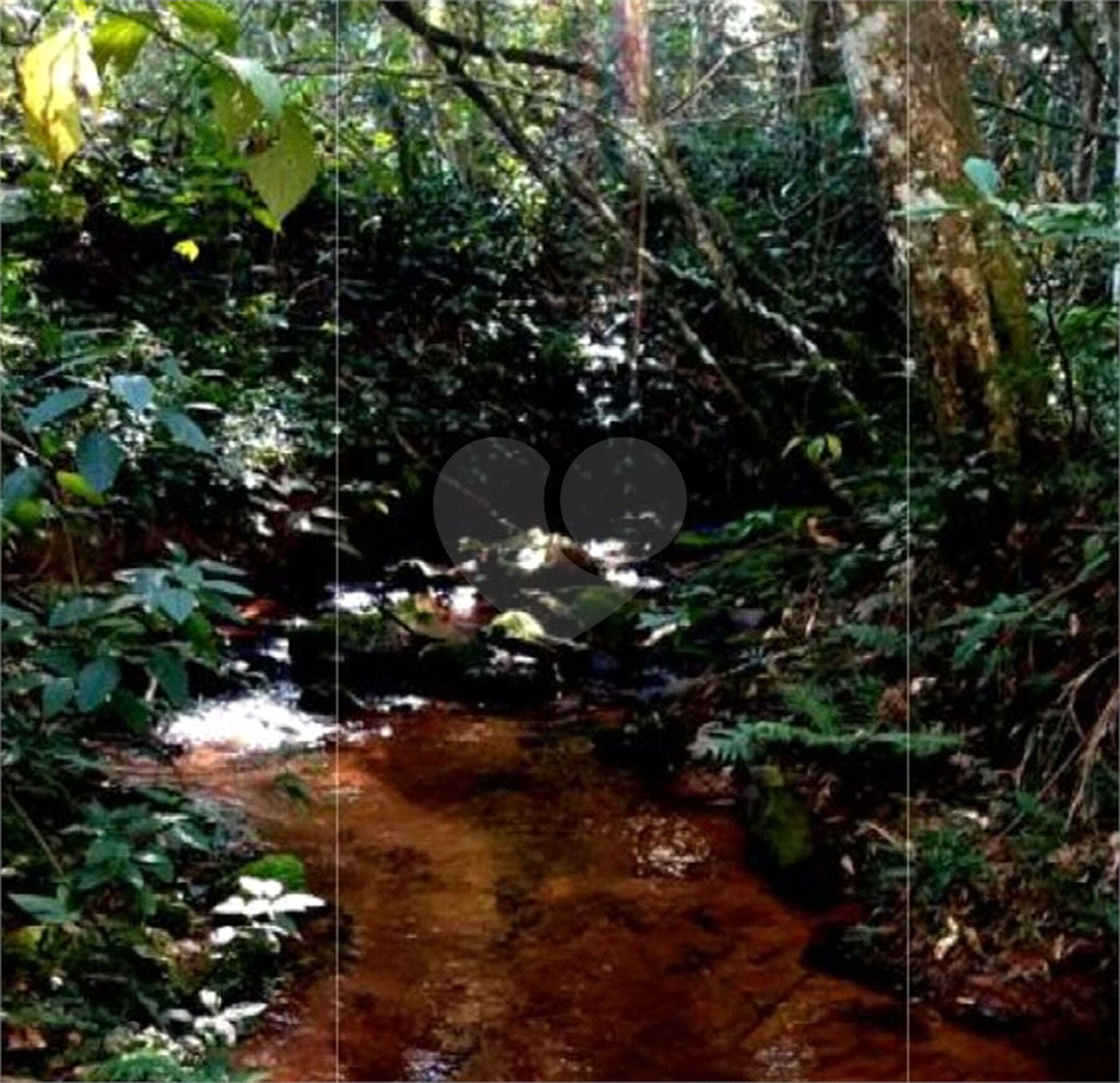 Chácara à venda no Centro, Monte Sião, MG