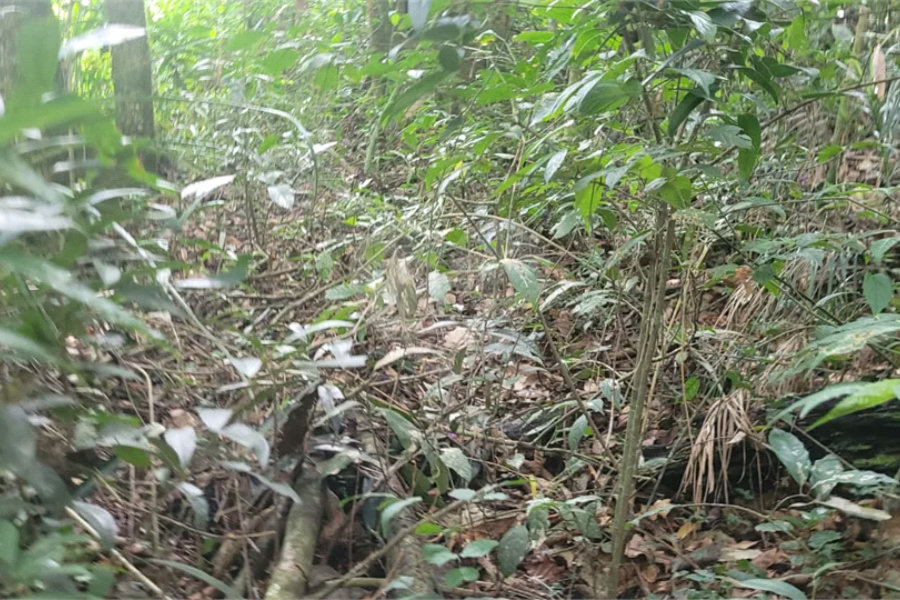 Terreno à venda em Mantiqueira, Mairiporã, SP