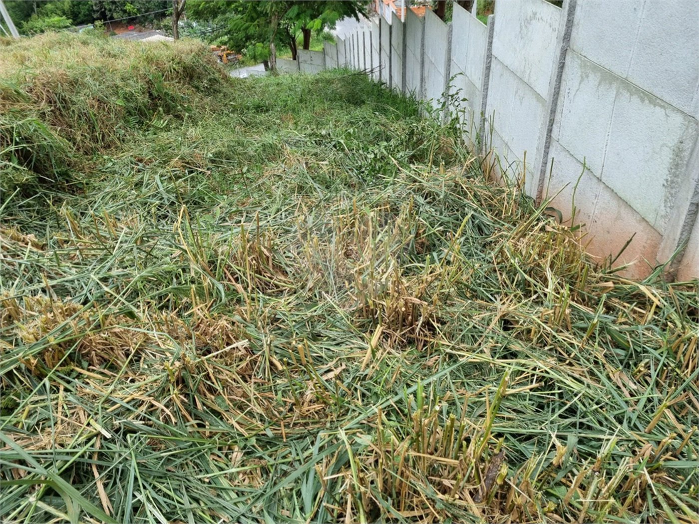 Terreno à venda em Parque Residencial Itapeti, Mogi das Cruzes, SP