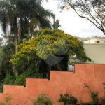 Casa à venda ou para alugar com 4 quartos, sendo 3 suítes, em Jardim Leonor, São Paulo, SP