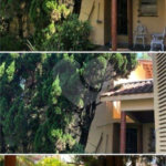 Sobrado à venda com 3 quartos, sendo 1 suíte, em Jardim Itacolomi, São Paulo, SP