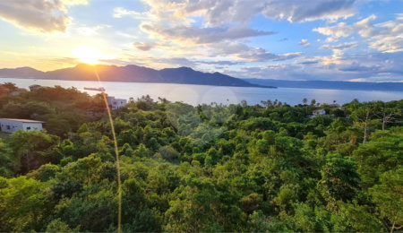 Terreno à venda em Siriúba, Ilhabela, SP
