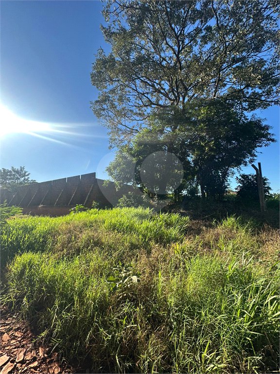 Terreno à venda em Pedro Juan Caballero, Amambay