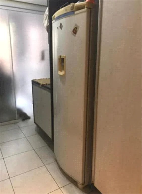 Apartamento à venda com 3 quartos, sendo 2 suítes,  em Jardim Arpoador, São Paulo, SP