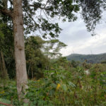 Terreno à venda em Barro Branco (zona Norte), São Paulo, SP