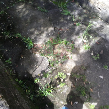 Terreno à venda em Santana, São Paulo, SP