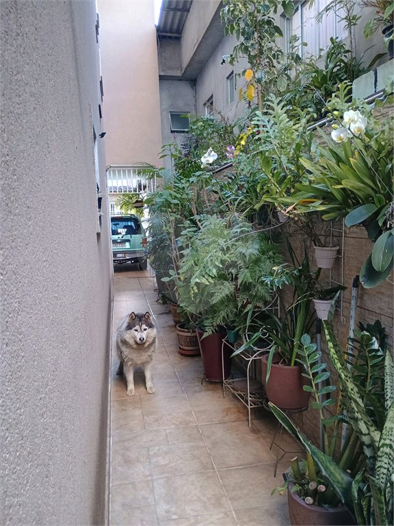 Casa à venda com 4 suítes em Jardim Bom Clima, Guarulhos, SP