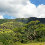 Terreno à venda em Jardim Maristela, Atibaia, SP