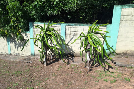 Chácara à venda com 1 suíte em Jardim Estância Brasil, Atibaia, SP