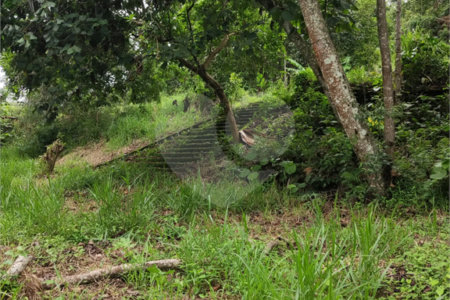 Terreno à venda em Vila Moraes, Mogi das Cruzes, SP