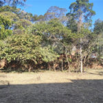Terreno à venda no condomínio Arco-íris, Atibaia - SP