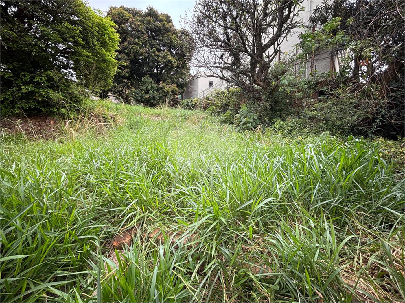 Terreno à venda em Santa Teresinha, São Paulo, SP
