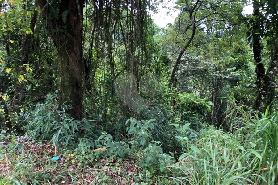 Terreno à venda no condomínio Gleba E2, Mairiporã - SP