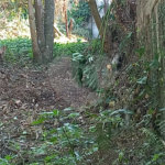 Terreno à venda em Vila Tramontano, São Paulo, SP