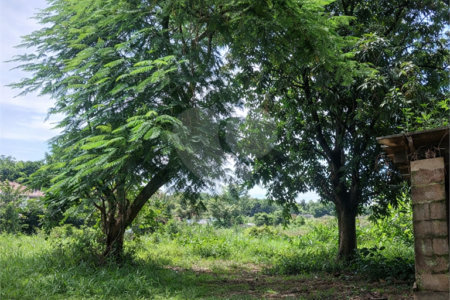 Terreno à venda em Jardim Patriarca, Ribeirão Preto, SP