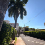 Apartamento à venda com 2 quartos em Vila Abranches, Ribeirão Preto, SP