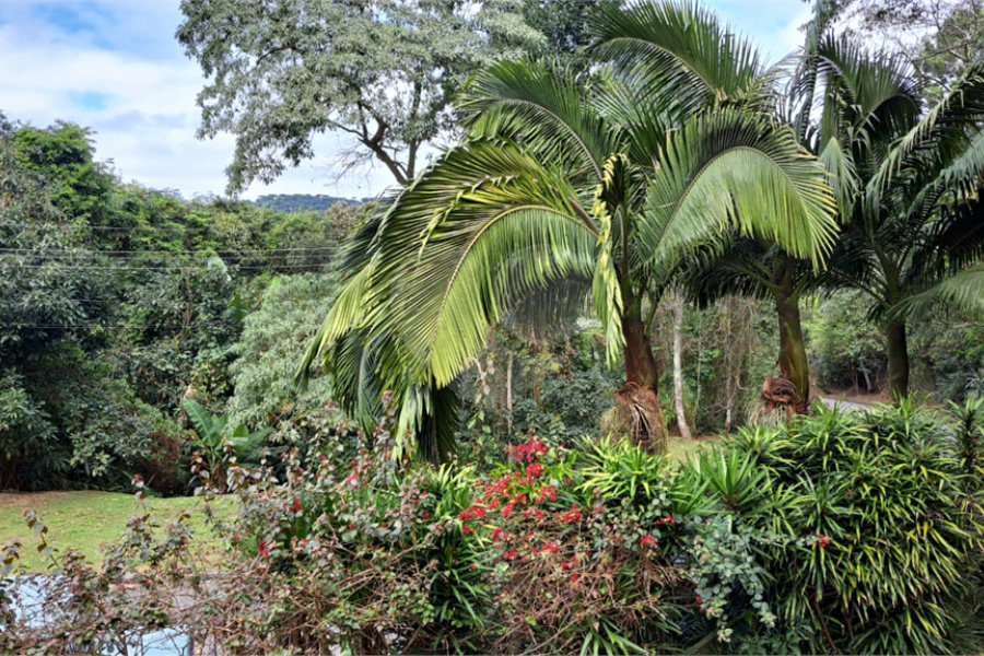 Casa à venda com 3 quartos, sendo 1 suíte, no condomínio Alpes da Cantareira, Mairiporã - SP