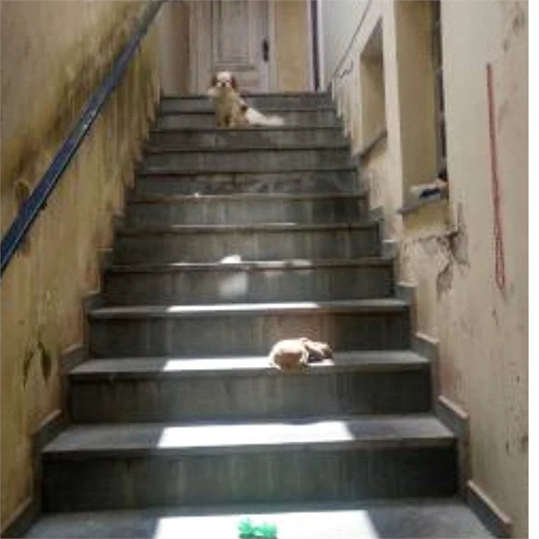 Sobrado à venda com 3 quartos, sendo 1 suíte, em Vila Universitária, São Paulo, SP