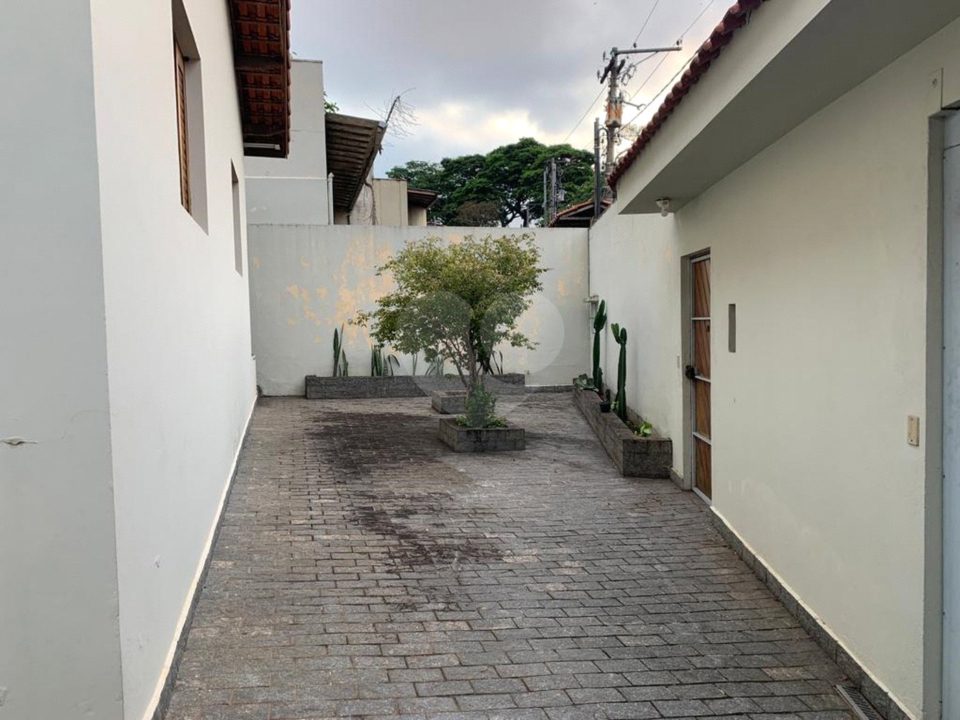 Casa Térrea à venda com 3 suítes em Jardim Petrópolis, São Paulo, SP