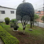 Casa à venda com 3 quartos, sendo 1 suíte, em Jaçanã, São Paulo, SP