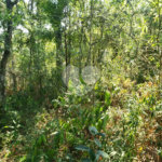 Terreno à venda no condomínio Cantareira, Mairiporã - SP