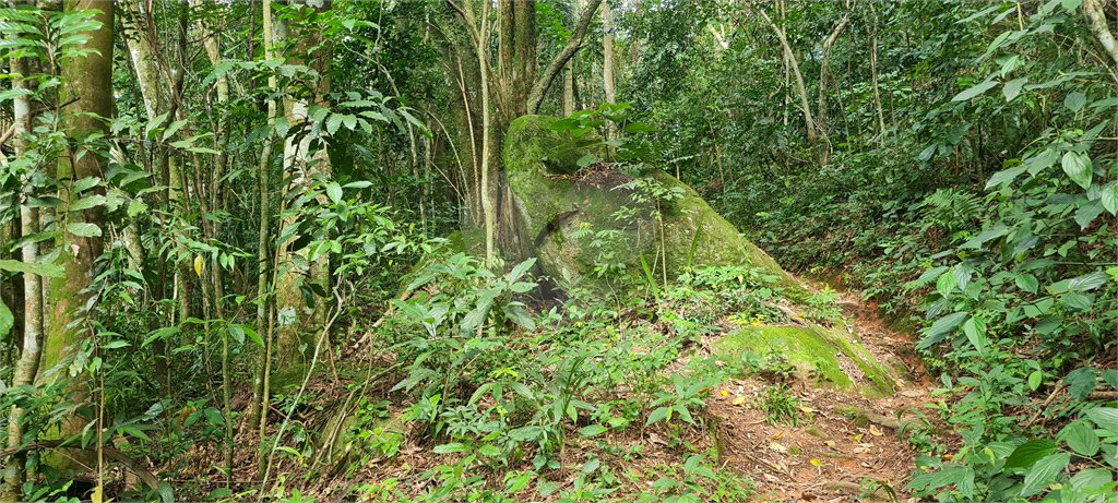 Terreno à venda em Caraguatá, Mairiporã, SP