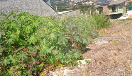Terreno à venda no condomínio Lot. Jardim das Videiras, Vinhedo - SP