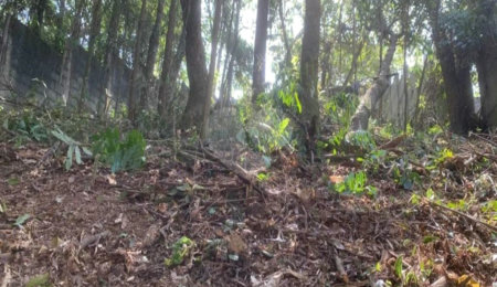 Terreno à venda em Jardim Peri Peri, São Paulo, SP