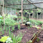 Casa à venda com 10 quartos, sendo 3 suítes, no condomínio Chácaras Campo Verde, Campo Limpo Paulista - SP