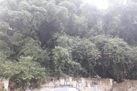 Terreno à venda em Santana, São Paulo, SP