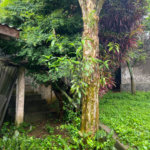 Casa à venda com 3 quartos, sendo 1 suíte, em Indianópolis, São Paulo, SP