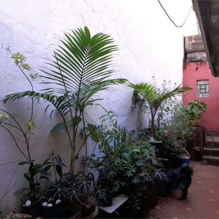 Casa à venda com 4 quartos em Vila Ipojuca, São Paulo, SP