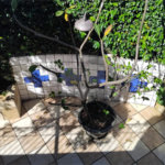 Sobrado à venda com 3 quartos, sendo 1 suíte, em Butantã, São Paulo, SP