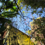 Casa com Piscina, Sauna e Edícula em Rua Arborizada no Tremembé