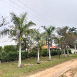 Chácara à venda com 2 quartos, sendo 1 suíte, em Terras de San Thomé, Porto Feliz, SP