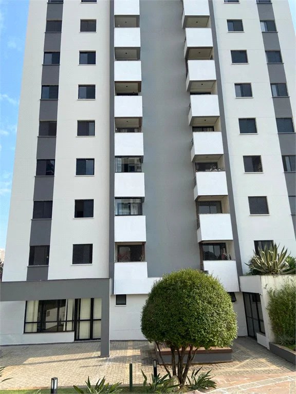 Apartamento para alugar com 3 quartos, sendo 1 suíte, em Jardim Bonfiglioli, São Paulo, SP