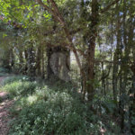 Terreno à venda no condomínio Sausalito, Mairiporã - SP