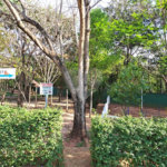 Terreno à venda no condomínio Residencial Maria Dulci, Indaiatuba - SP