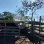Sítio à venda com 2 suítes em Buru, Salto, SP