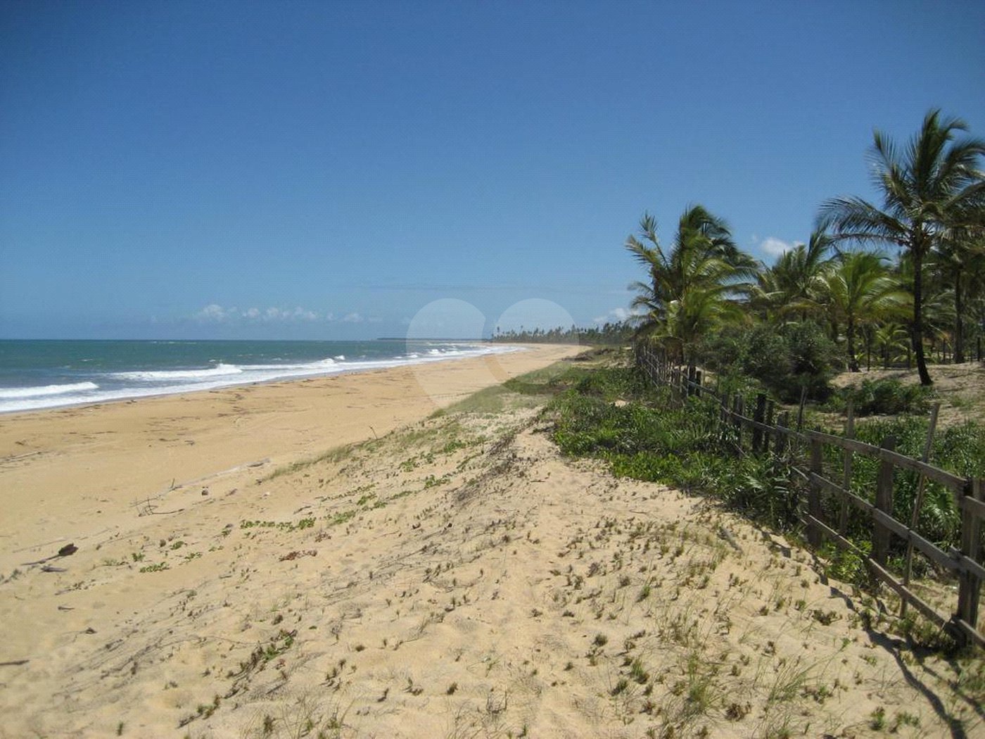 Área de Terra à venda em Mogiquiçaba, Belmonte, BA
