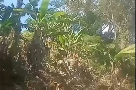 Terreno Residencial à venda, , - TE0030.