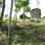 Área de Terra à venda em Alto da Serra (mailasqui), São Roque, SP