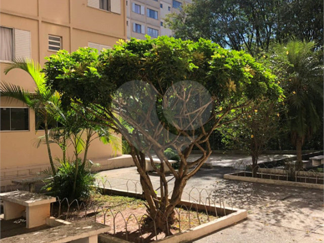 Apartamento à venda com 2 quartos em Tremembé, São Paulo, SP