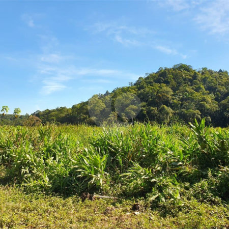 Terreno à venda em Vila Figueiredo, Rio Grande da Serra, SP