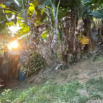 Casa à venda com 2 quartos em Tucuns, Armação dos Búzios, RJ